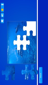 Dolphin Puzzles游戏截图2