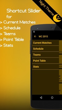 Cricket Buzz - World Cup 2015游戏截图2