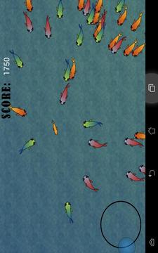 Fish Chase!游戏截图4