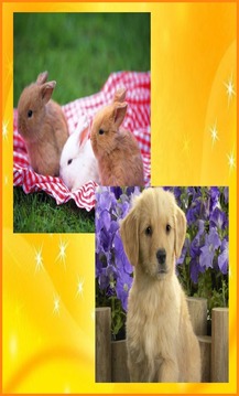Cute Animals Jigsaw Puzzles游戏截图2