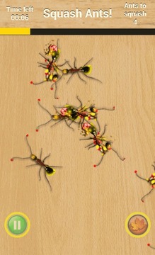 Squash Ants!游戏截图2