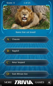 Name that Cat Breed Trivia游戏截图2