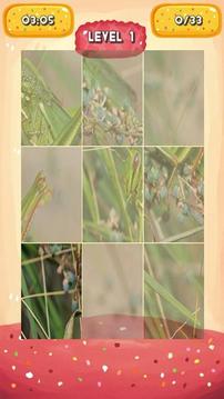 Grasshopper Jigsaw Puzzles游戏截图5