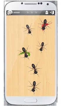 Crush Ants 3D游戏截图2