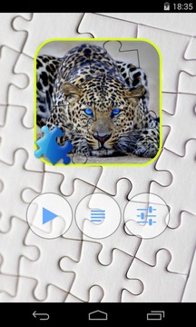 Leopard Jigsaw Puzzle游戏截图1