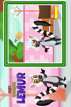 Pet Caring Lemur游戏截图3