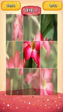 Desert rose Jigsaw Puzzles游戏截图3