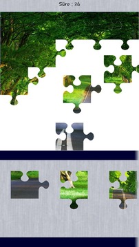 BG Puzzle游戏截图2