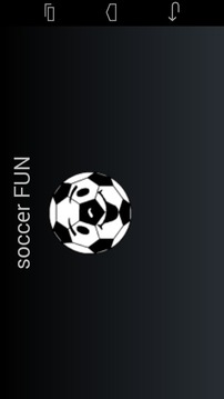 soccer FUN WM 2014游戏截图1