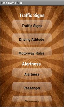 Driving Test游戏截图2