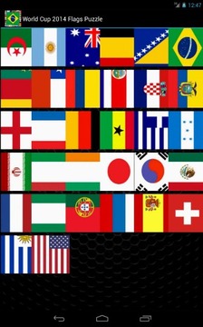 Flagz World Cup 2014 Puzzle游戏截图3