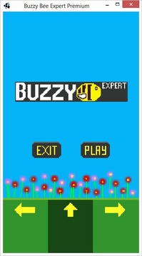 Buzzy Bee Expert游戏截图1