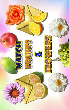 Match Fruit & Flowers游戏截图1