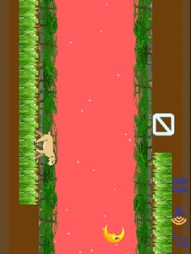 Hungry Tiger Eats游戏截图3