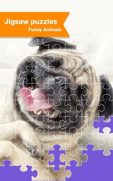 Jigsaw Puzzle - Pet Animal Fun游戏截图5