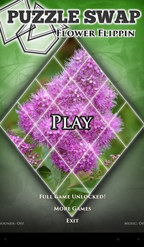 PuzzleSwap - Flower Flippin游戏截图1