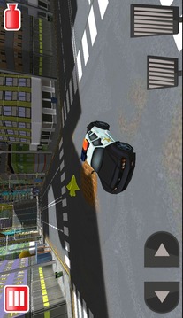 3D Police Car Chase游戏截图5