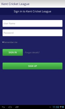 Kent Cricket League游戏截图4