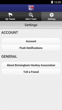 Birmingham Hockey Association游戏截图4