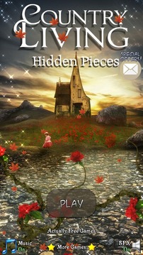 Hidden Pieces: Country Living游戏截图2