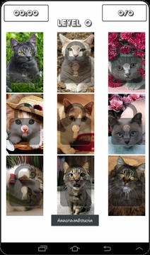 Cat Puzzles游戏截图4