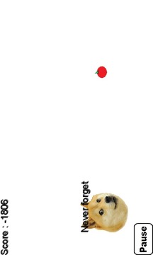 Dodge Doge游戏截图3