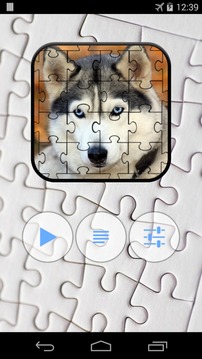 Husky Jigsaw Puzzle游戏截图1