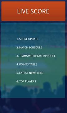 Cricket Zone游戏截图2