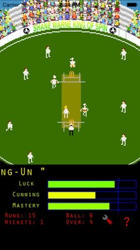 Shane Warne - KoS Mini Bowling游戏截图5