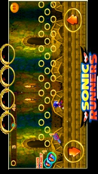 jungle Sonic temple runner游戏截图2