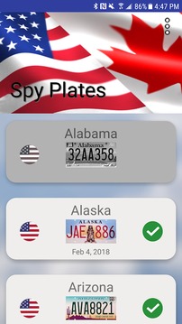 Spy Plates Canada游戏截图3