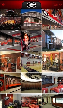 Georgia Basketball Kricket App游戏截图2