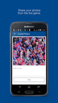 Fan App for Crystal Palace游戏截图3