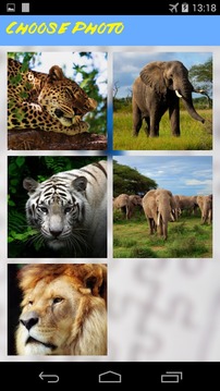 Safari Free Puzzles游戏截图5