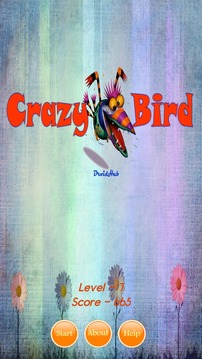 Crazy Bird Pro游戏截图1