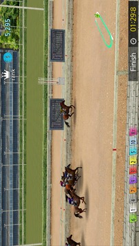 Pick Horse Racing游戏截图1