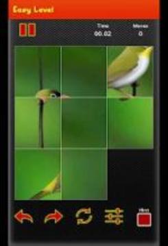 Picture Puzzle Game - Best Bird picture游戏截图2