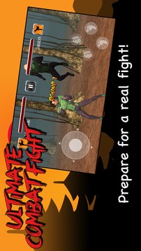 Ultimate Combat Fight 3D游戏截图1