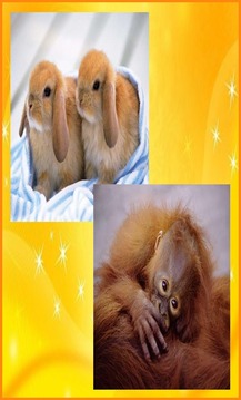 Cute Animals Jigsaw Puzzles游戏截图1