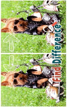 Find 5 Differences : Puppies游戏截图3