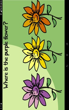 What colours are there?游戏截图5