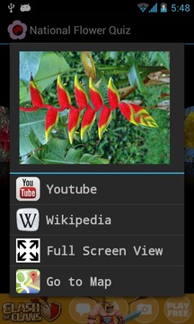 National Flower Quiz游戏截图5