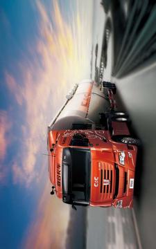 Extreme Truck Car Parking HQ游戏截图4