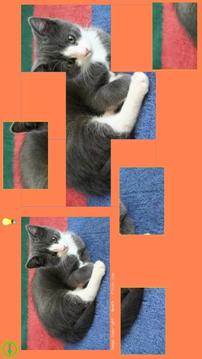 Cat Puzzle - Best For Kids游戏截图4