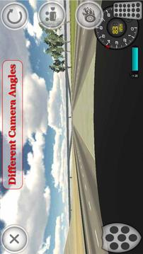 Police Car Simulator游戏截图5