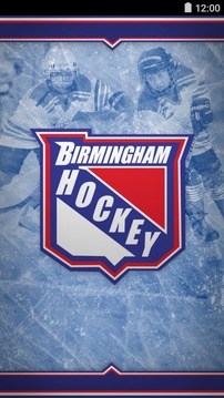 Birmingham Hockey Association游戏截图1