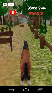 Horse Rush 3D游戏截图1