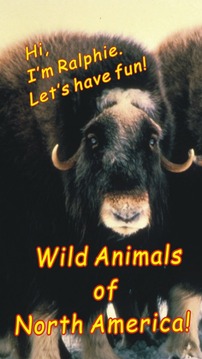 Wild Animals of North America游戏截图1