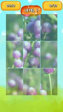 Globe amaranth Jigsaw Puzzles游戏截图4