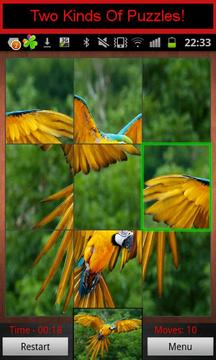 Your Picture Puzzle游戏截图3